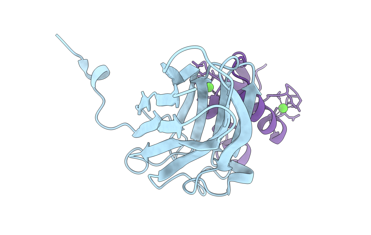2VN6 image