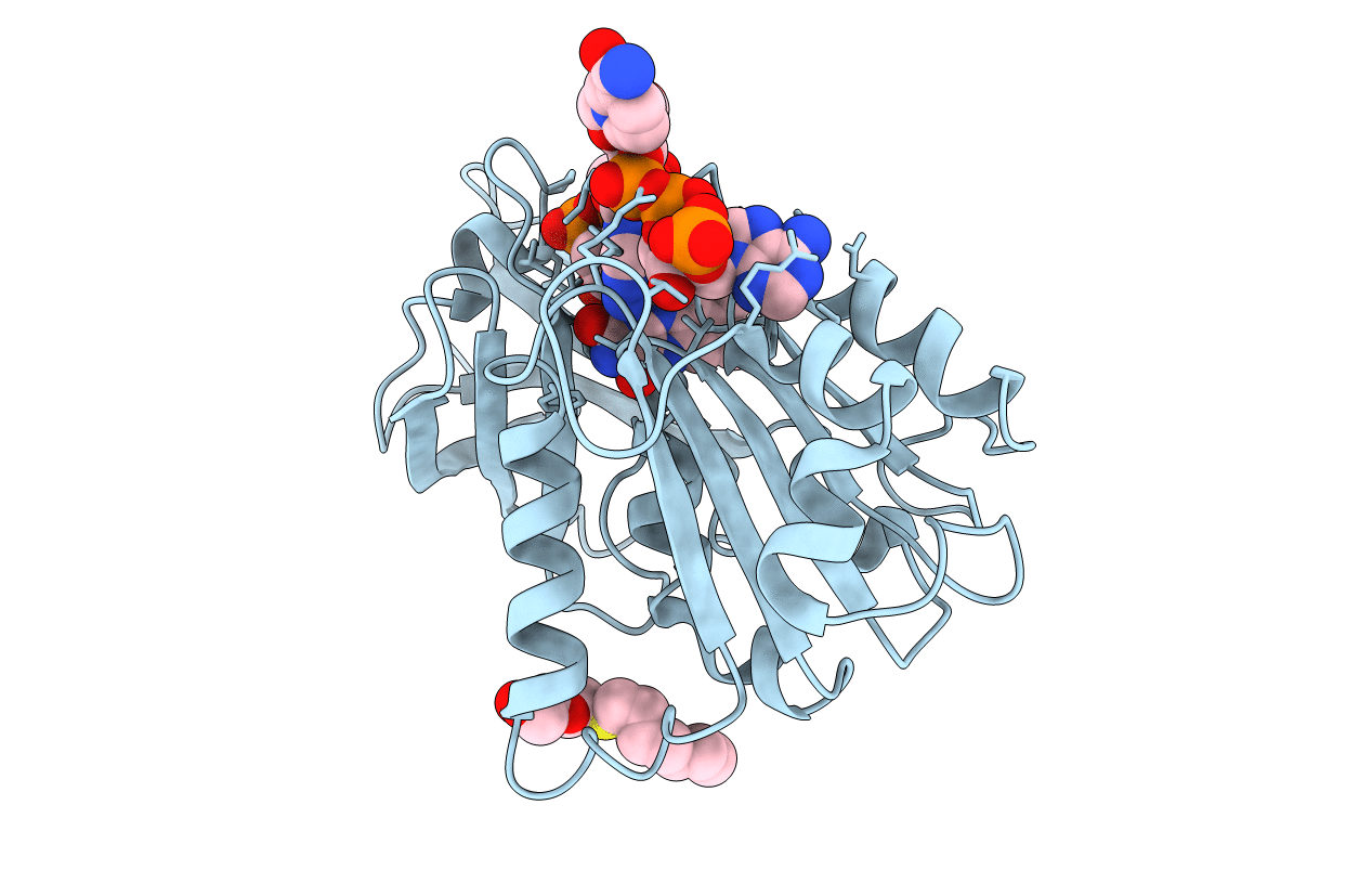 2VNH image