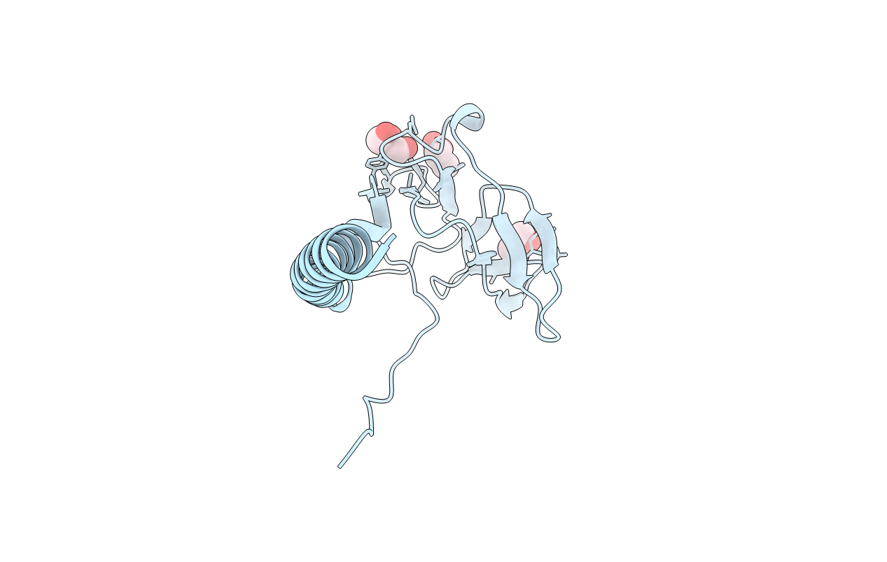 2VNL image