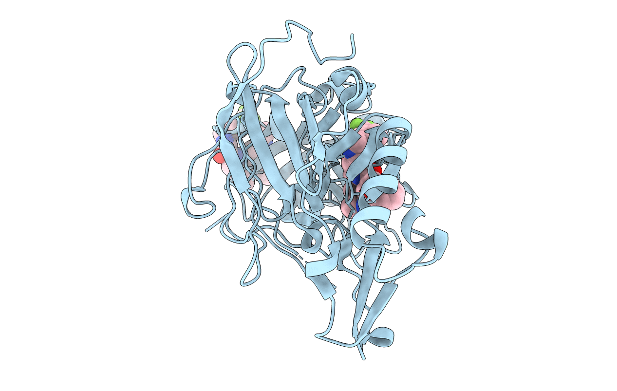 2VNM image