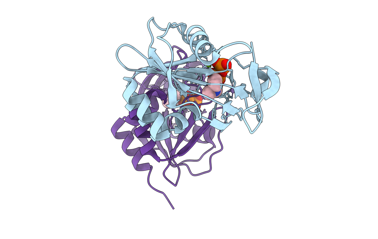 2VNP image