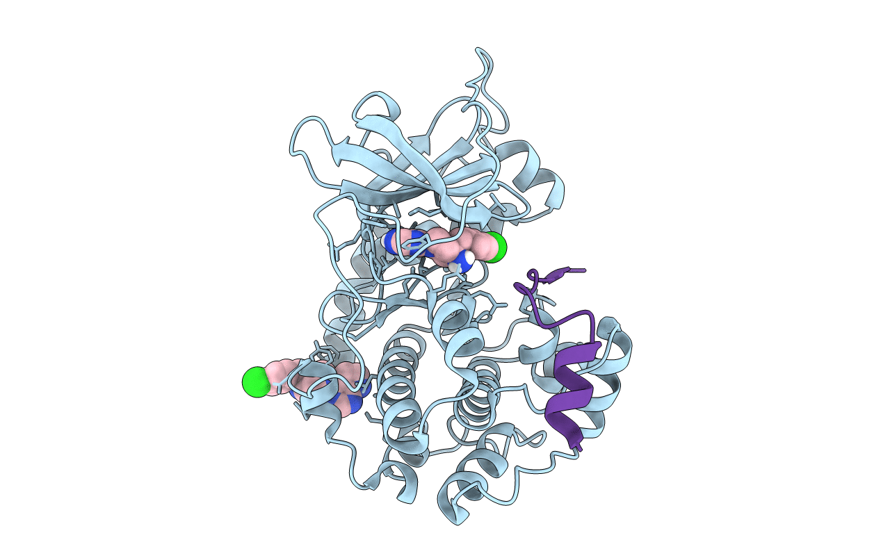 2VO7 image