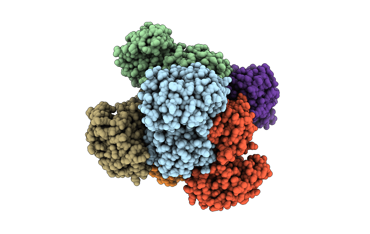 2VOE image