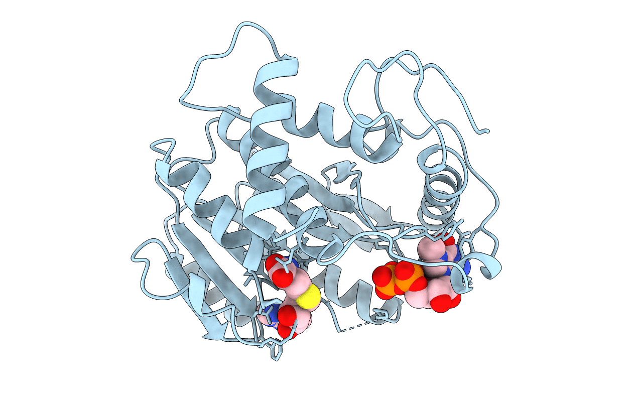 2VP3 image
