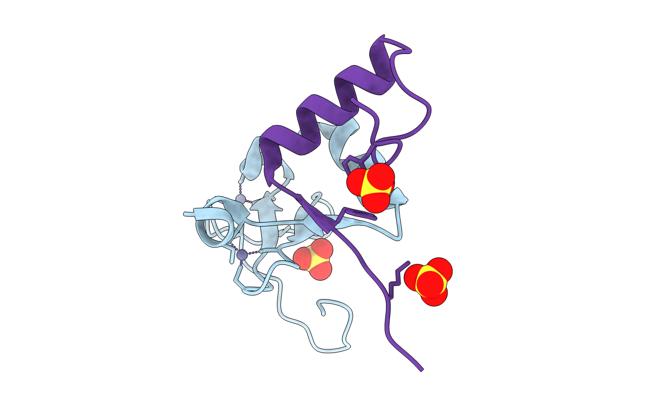 2VP7 image