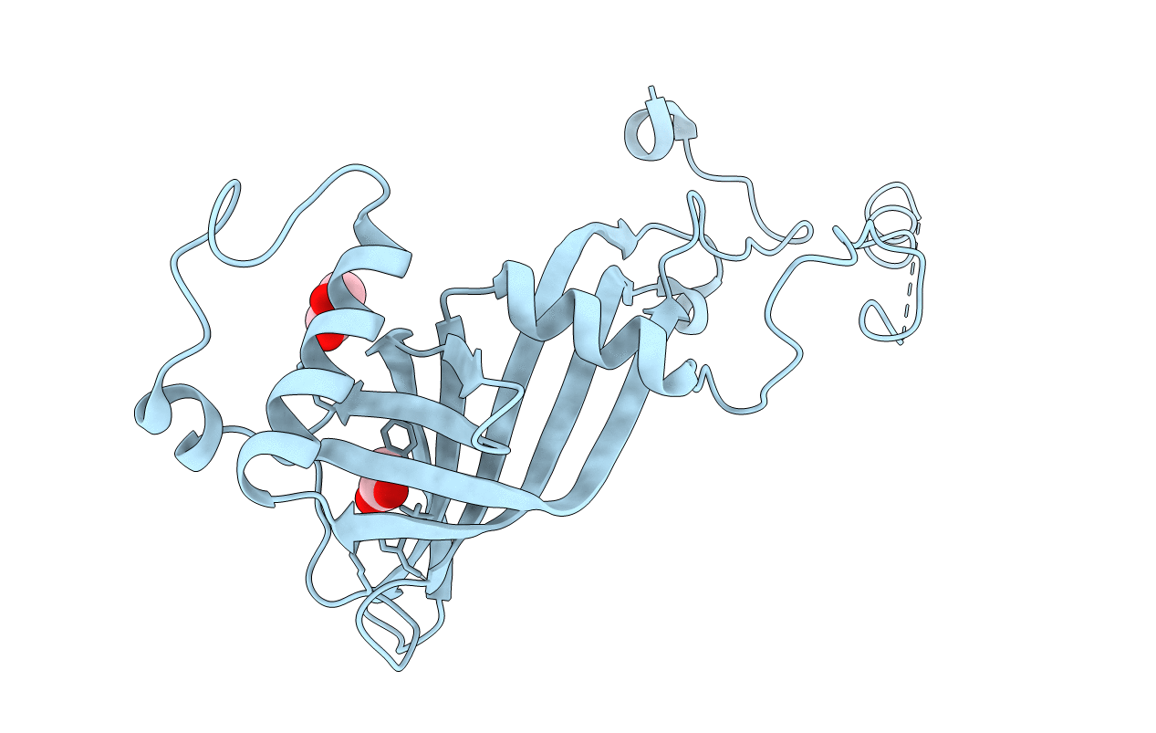 2VPA image