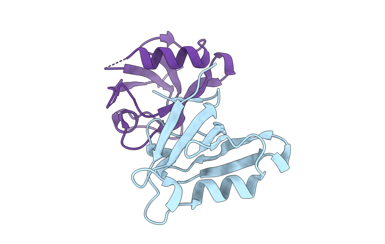 2VPH image