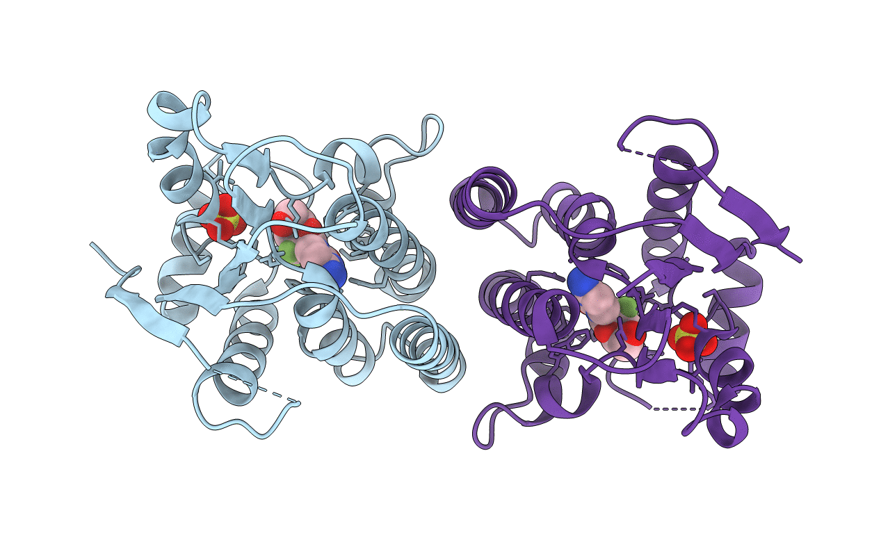 2VPP image