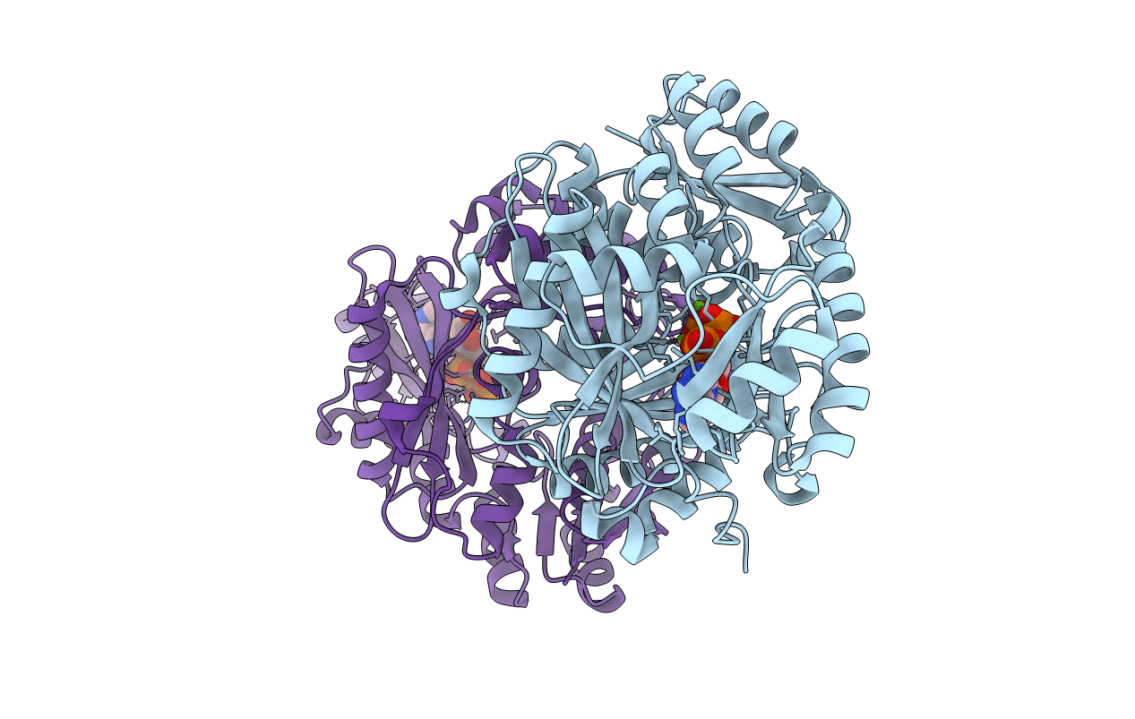 2VPQ image