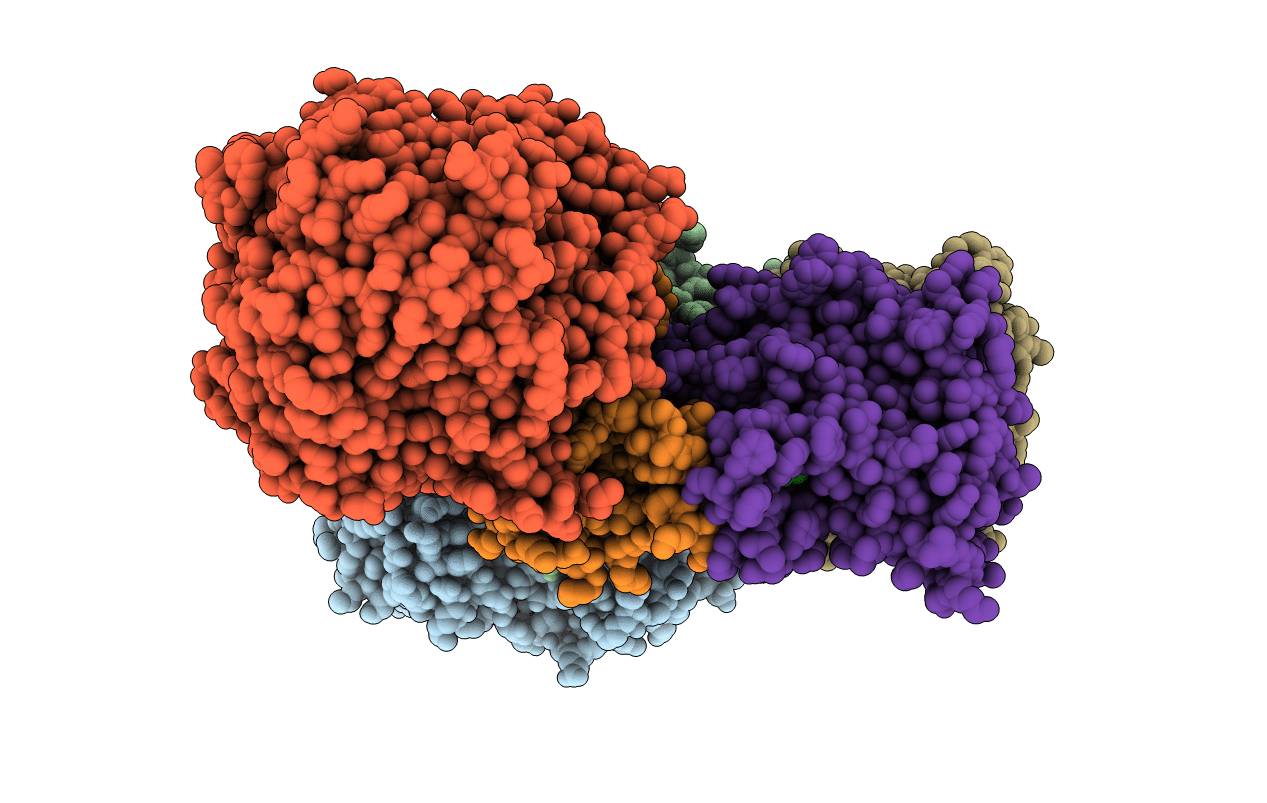 2VPY image