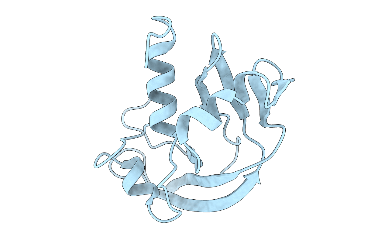 2VQ8 image