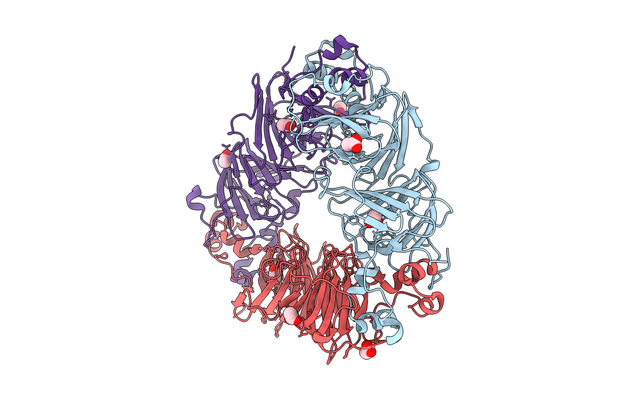 2VQA image