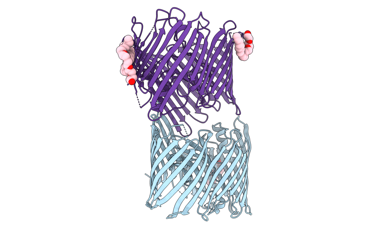 2VQI image