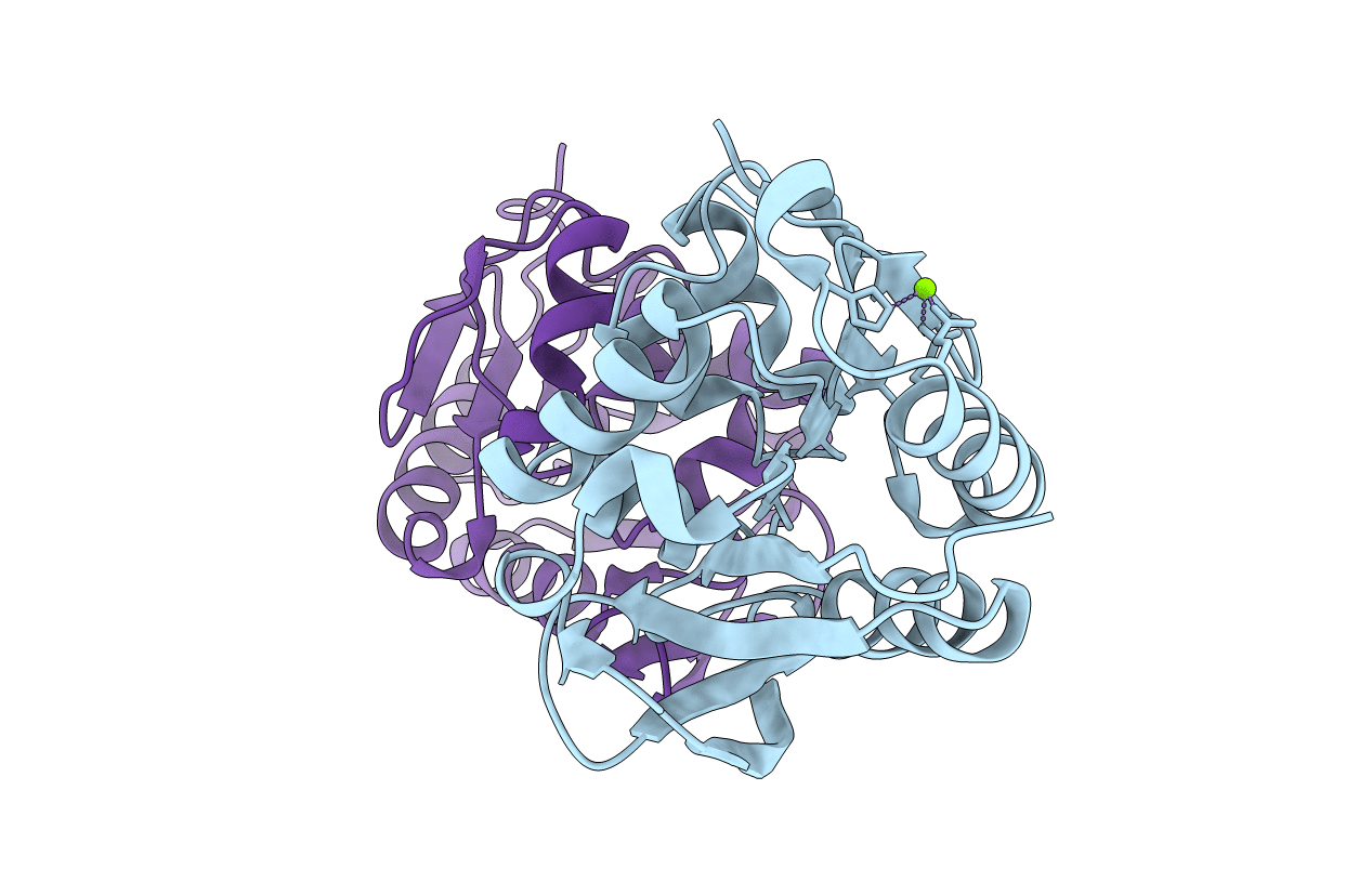 2VRN image