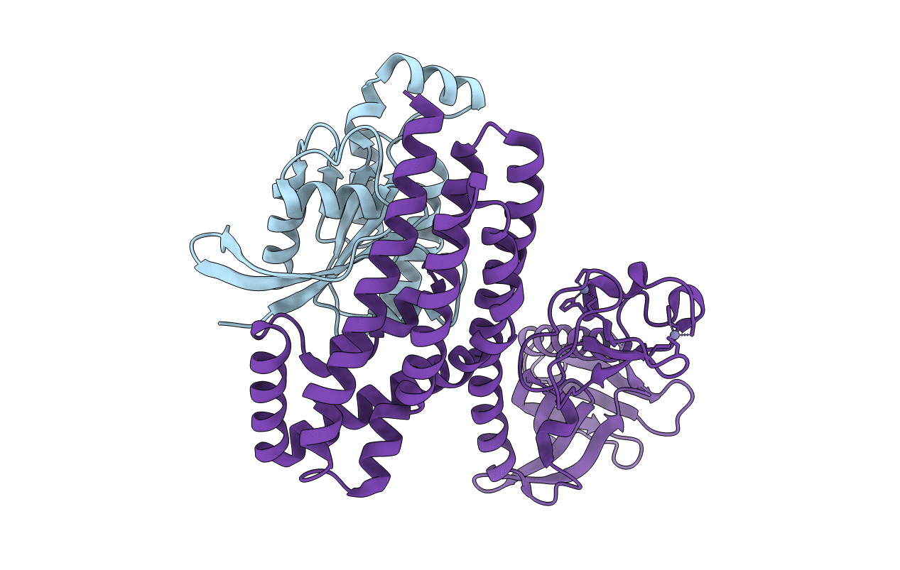2VRW image