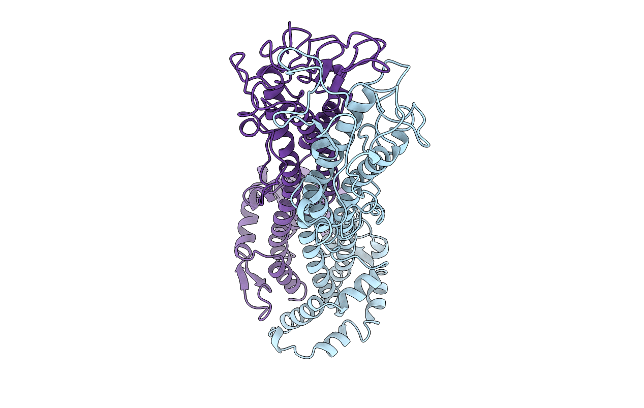 2VSG image
