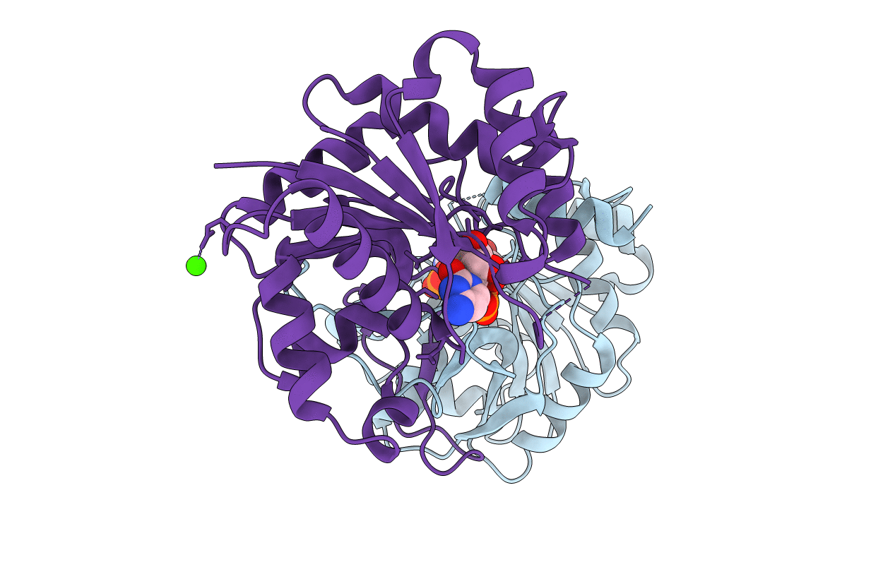2VSI image
