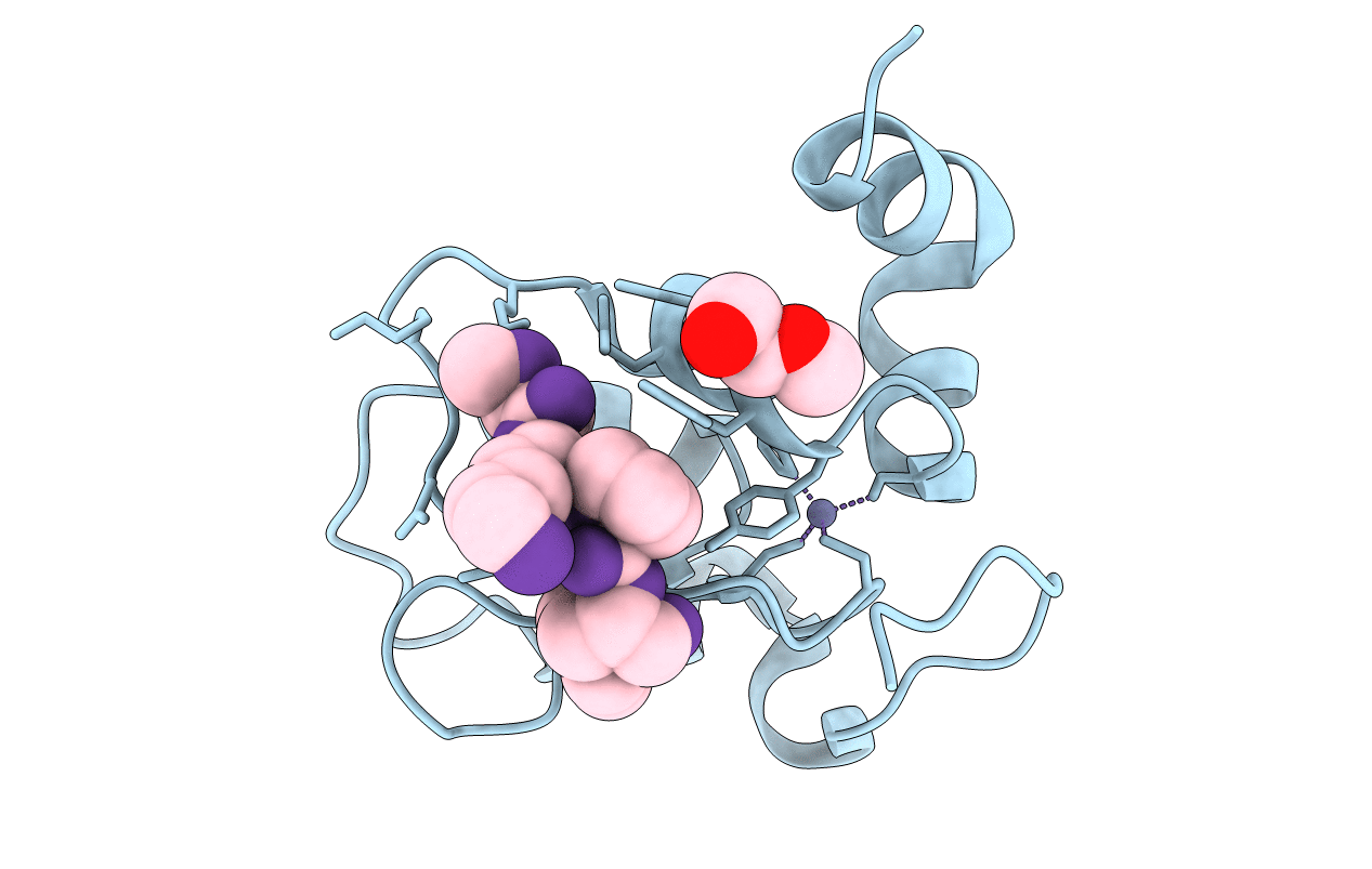2VSL image