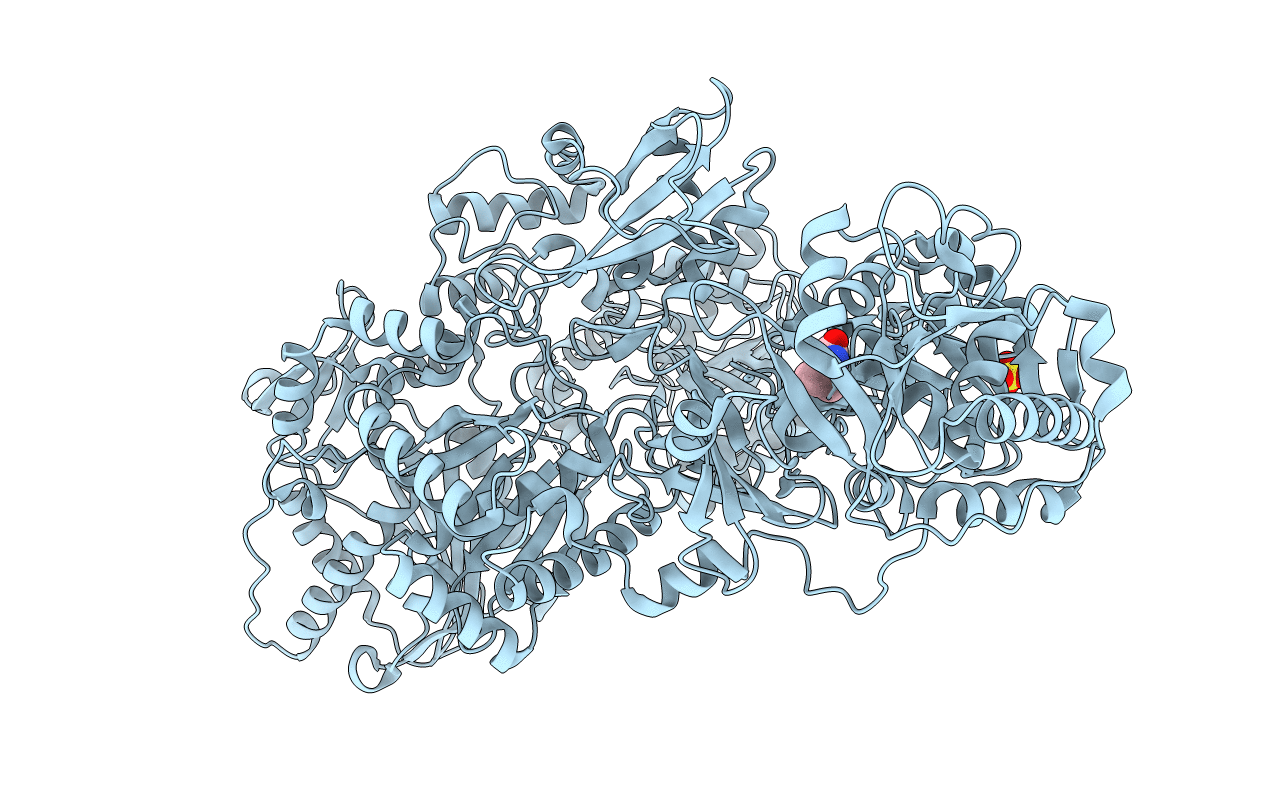 2VSQ image