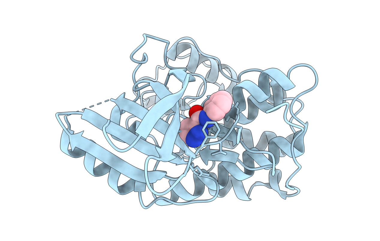 2VTL image