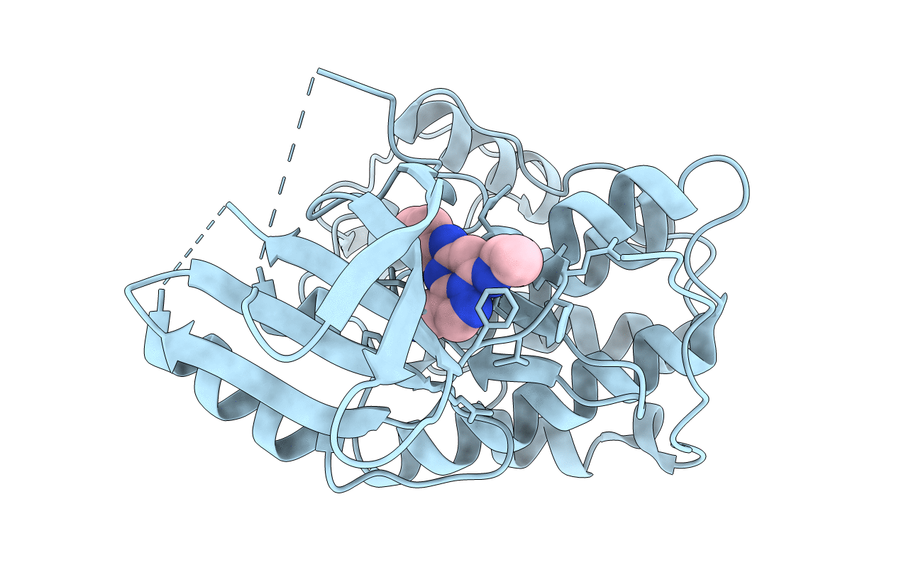 2VTS image
