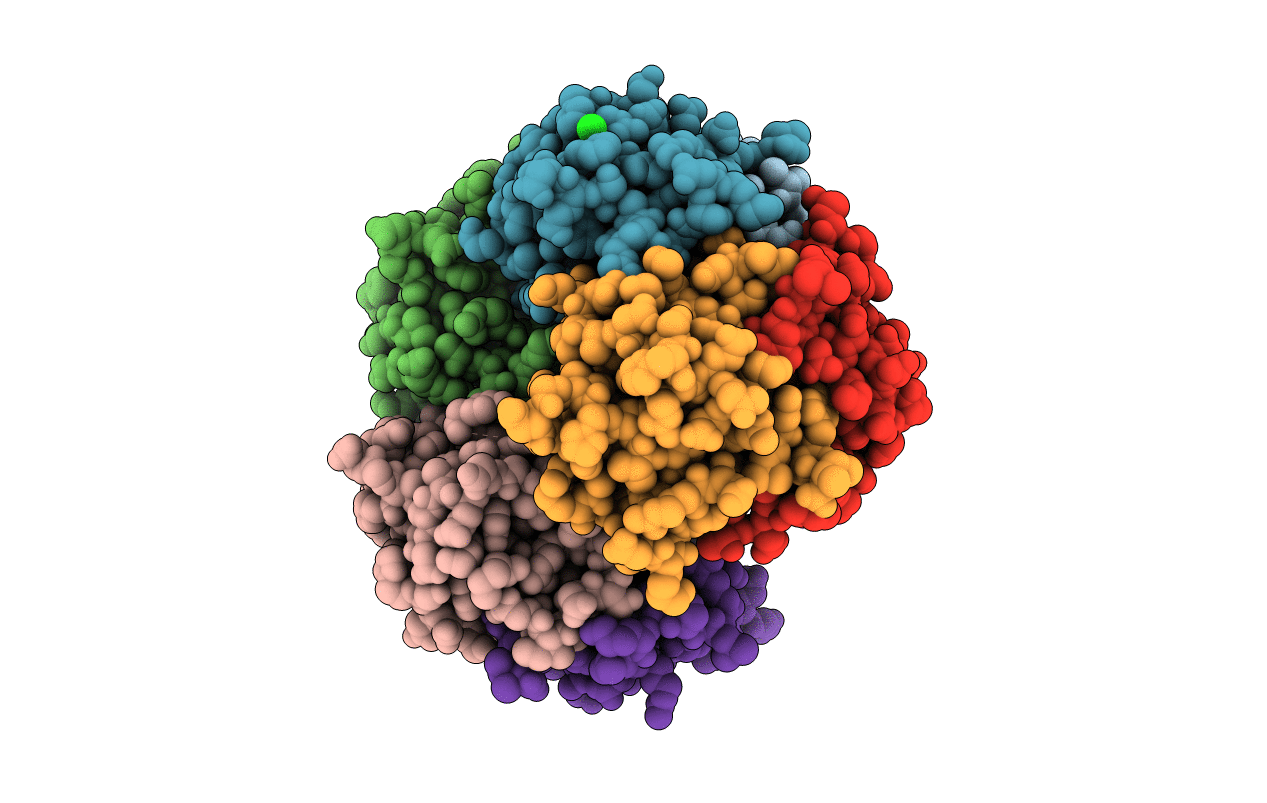 2VUB image