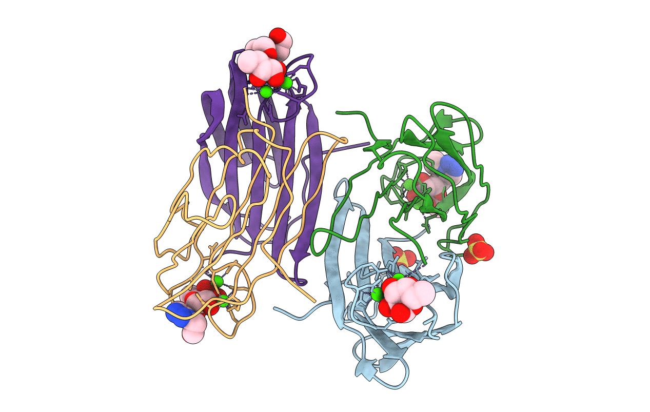 2VUD image