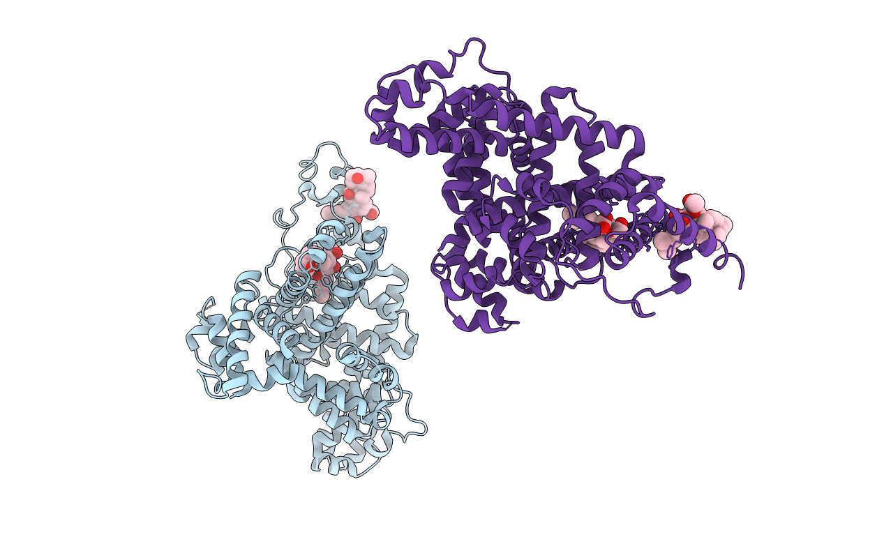 2VUF image