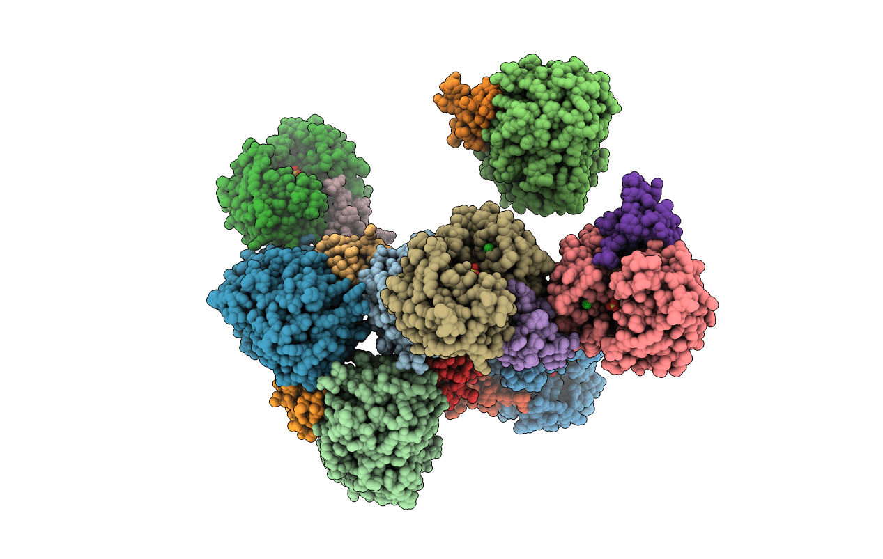 2VUS image