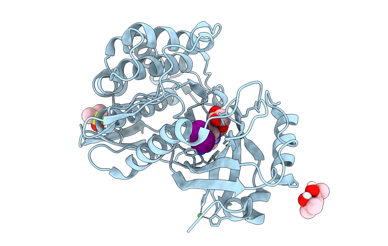 2VUW image