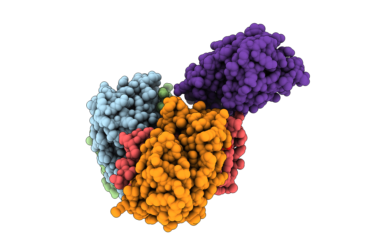 2VVO image