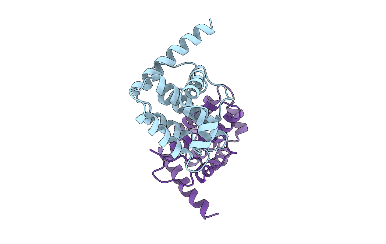 2VVX image
