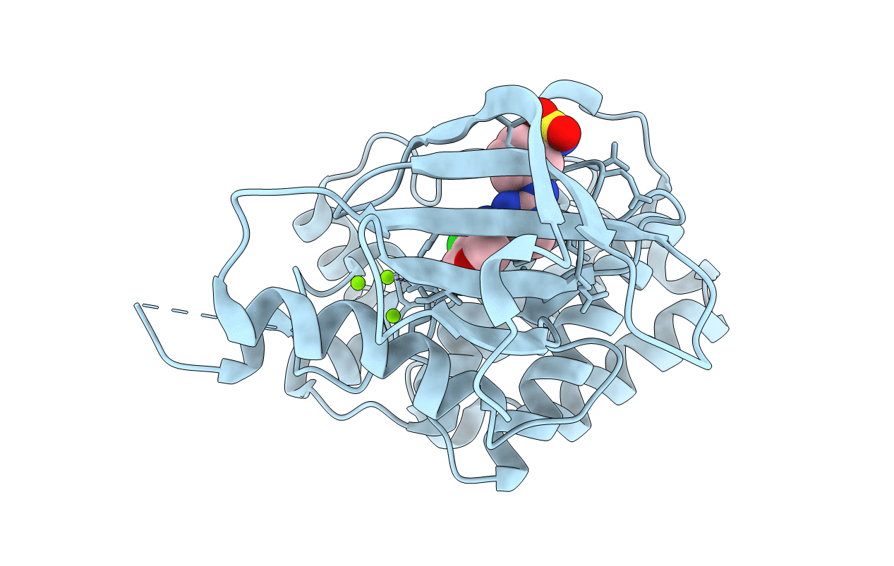 2VWX image