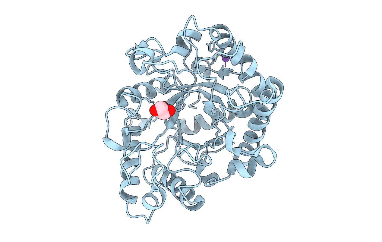 2VX4 image