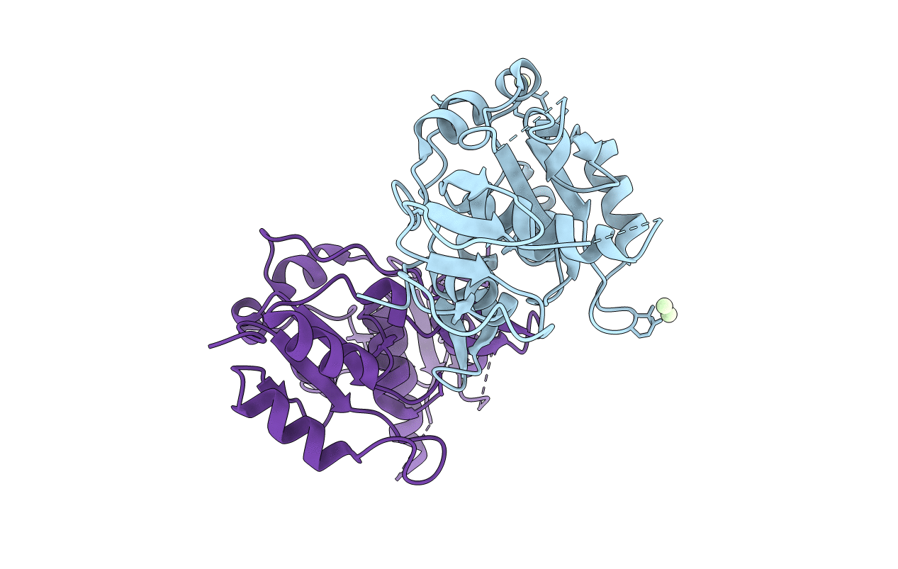 2VXB image