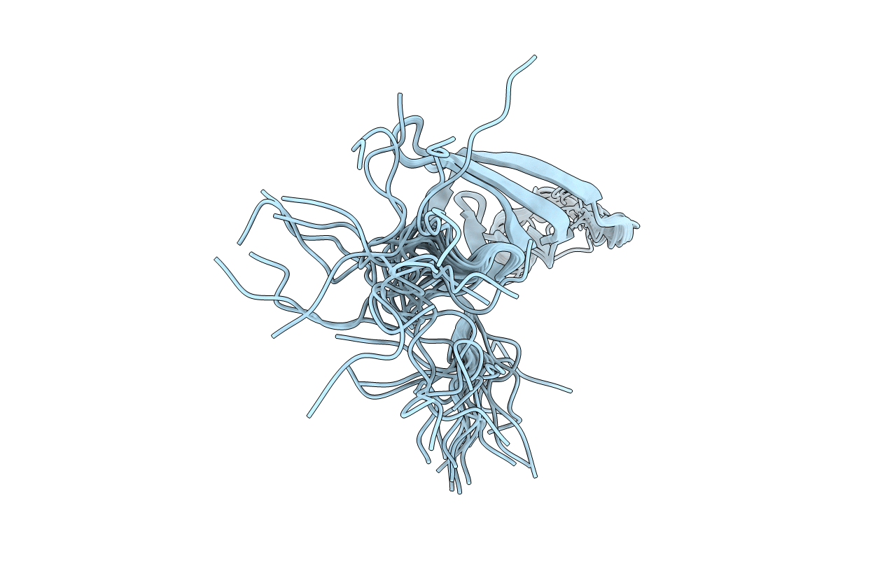 2VXE image