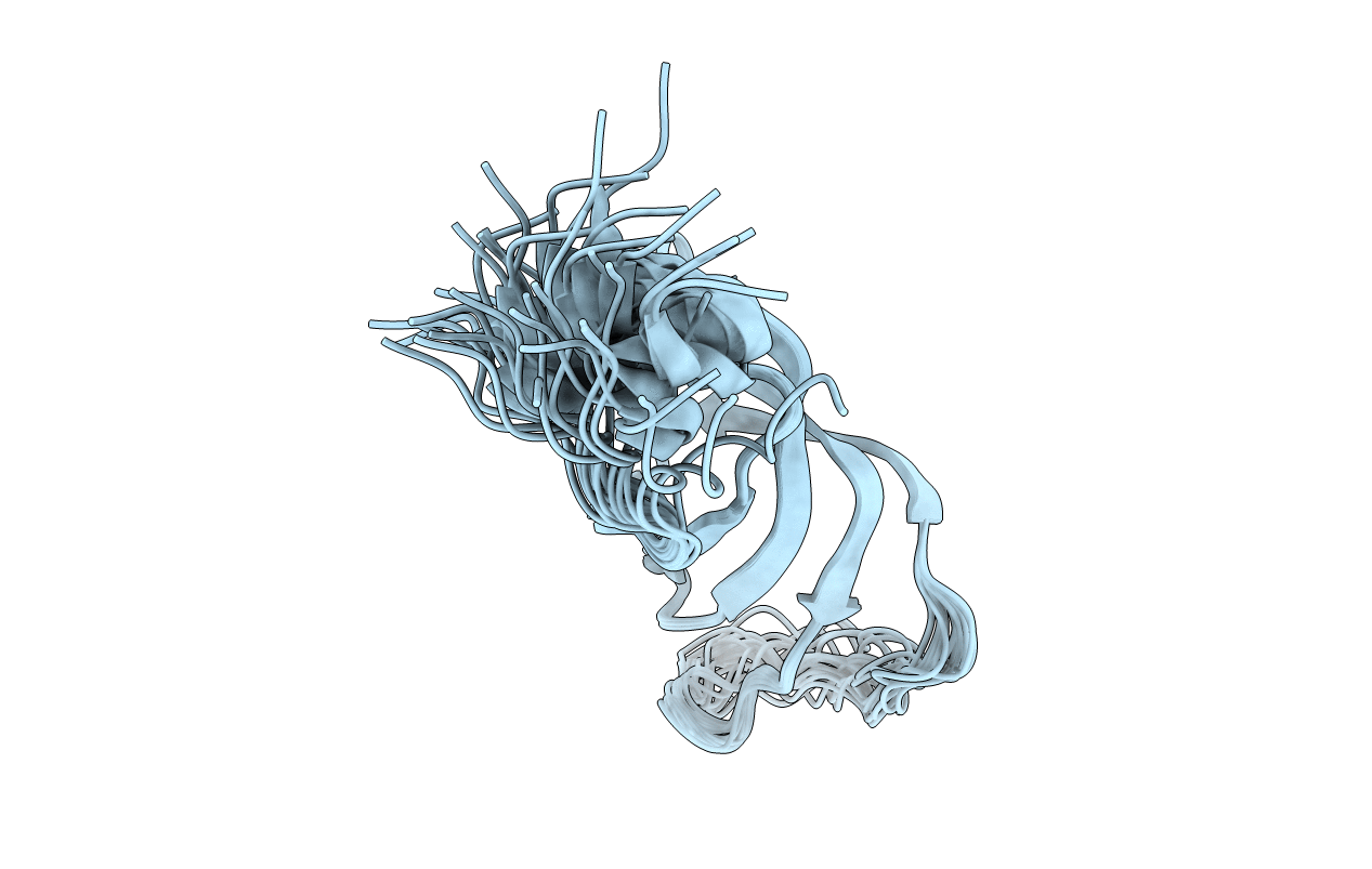 2VXF image