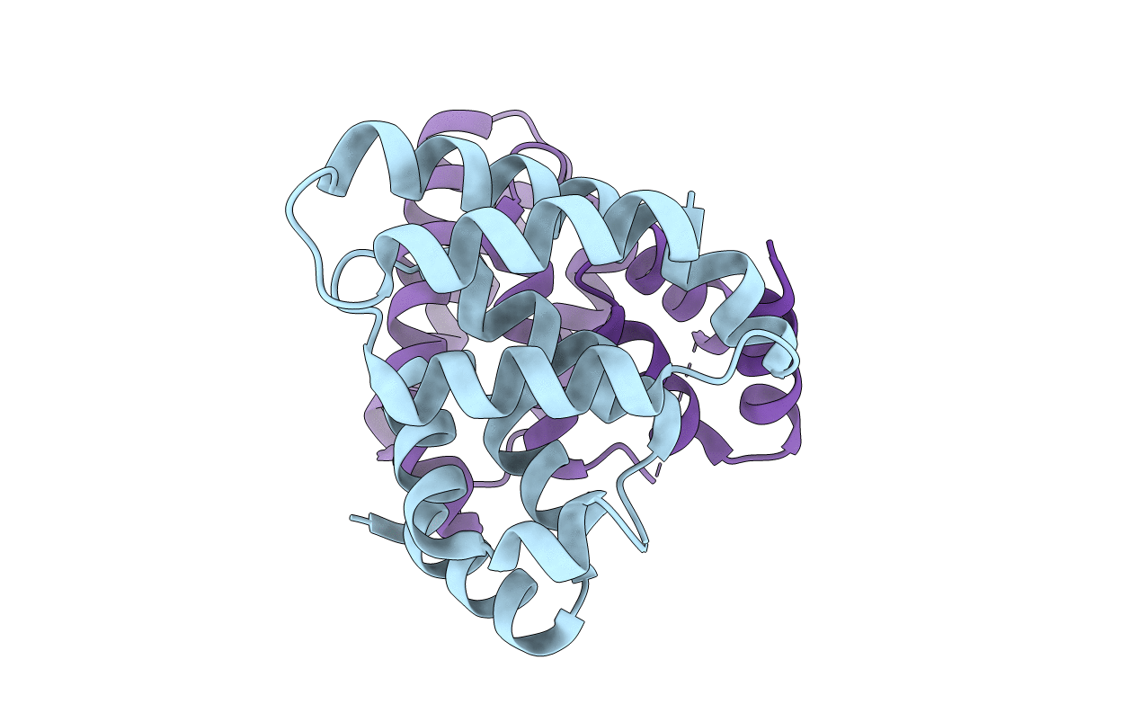 2VXG image