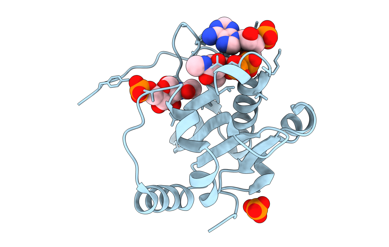 2VXK image