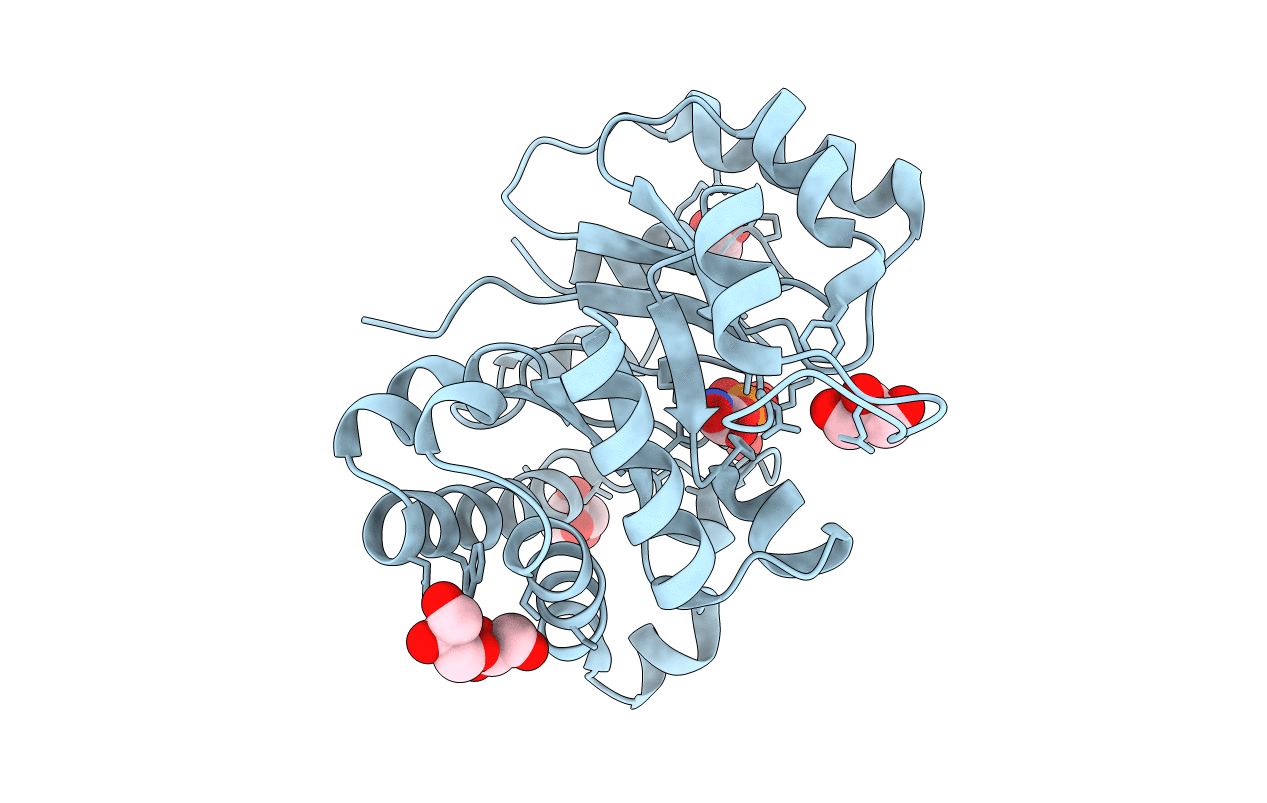 2VXN image