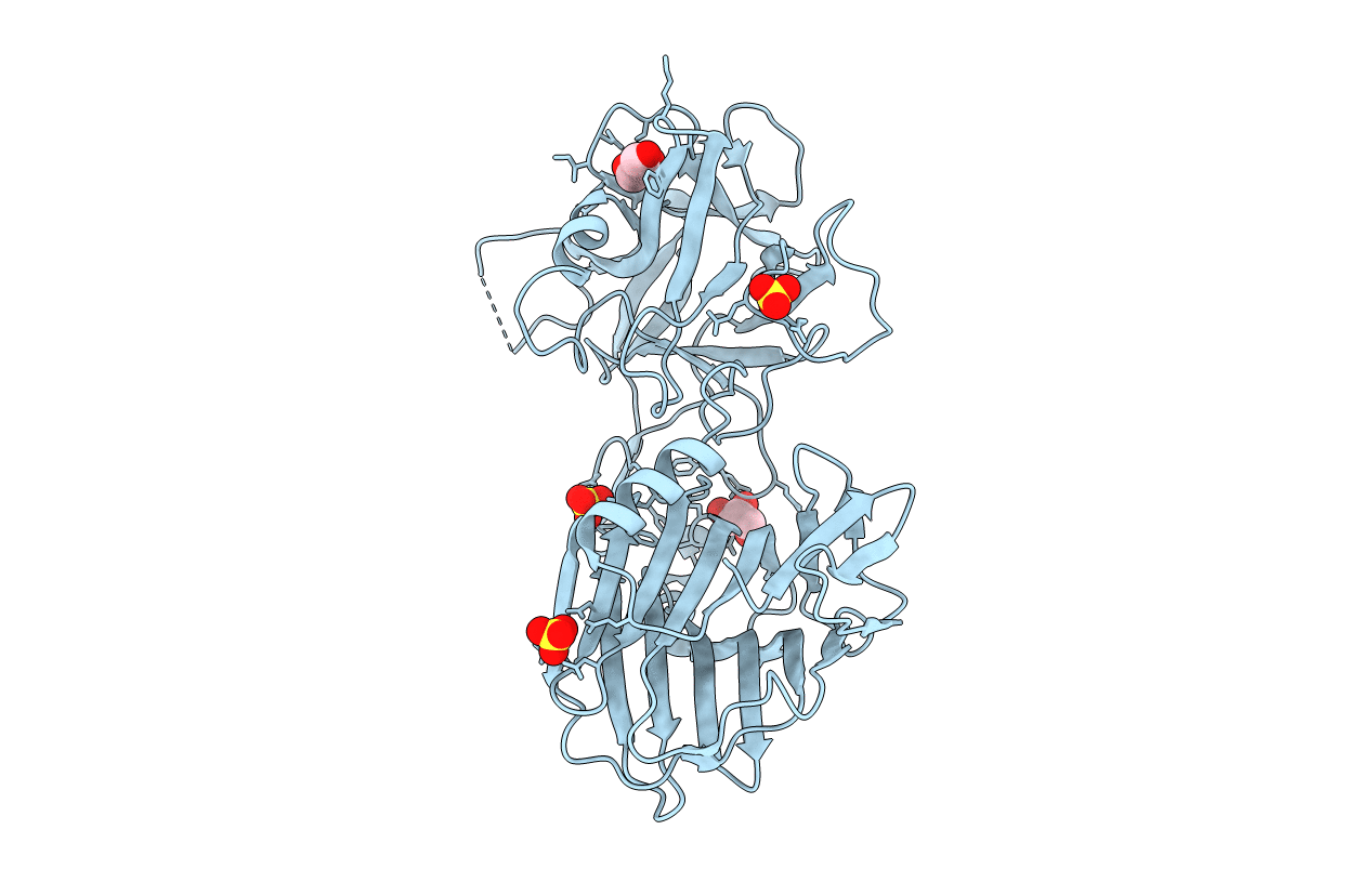 2VXR image