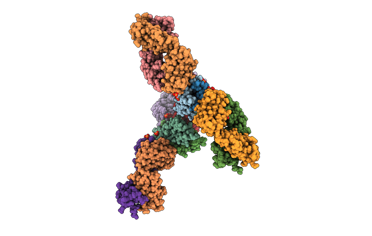 2VXS image