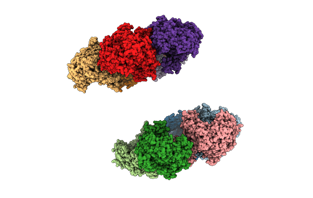 2VYC image