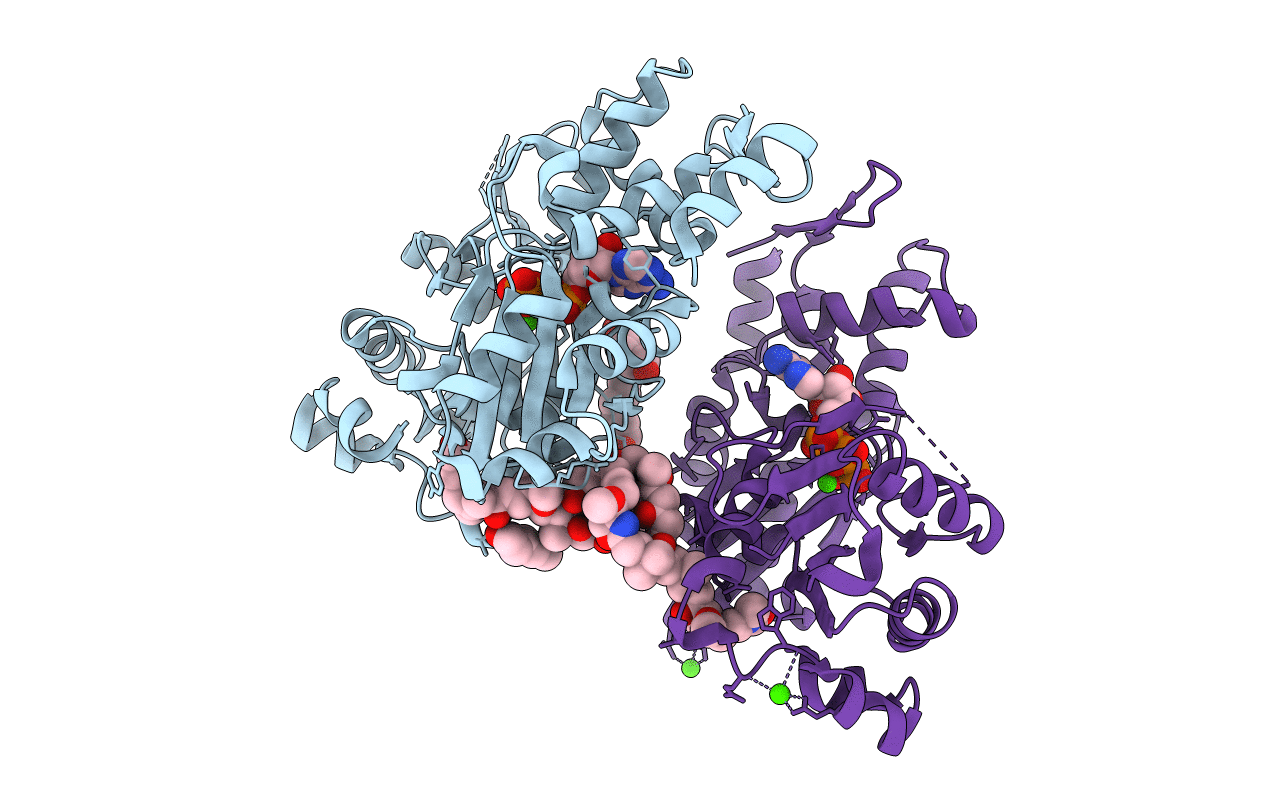 2VYP image