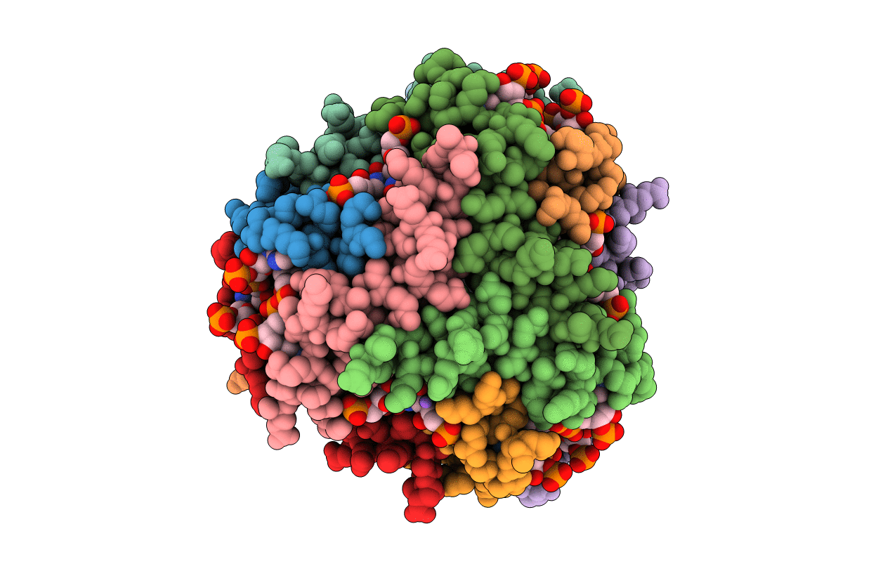 2VYX image