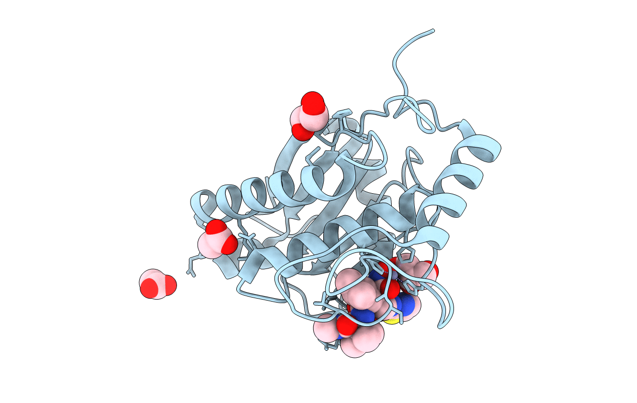 2W13 image