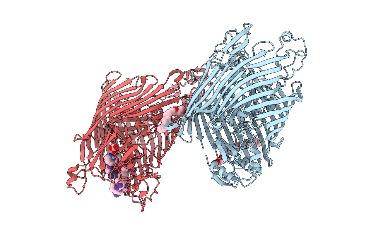 2W16 image