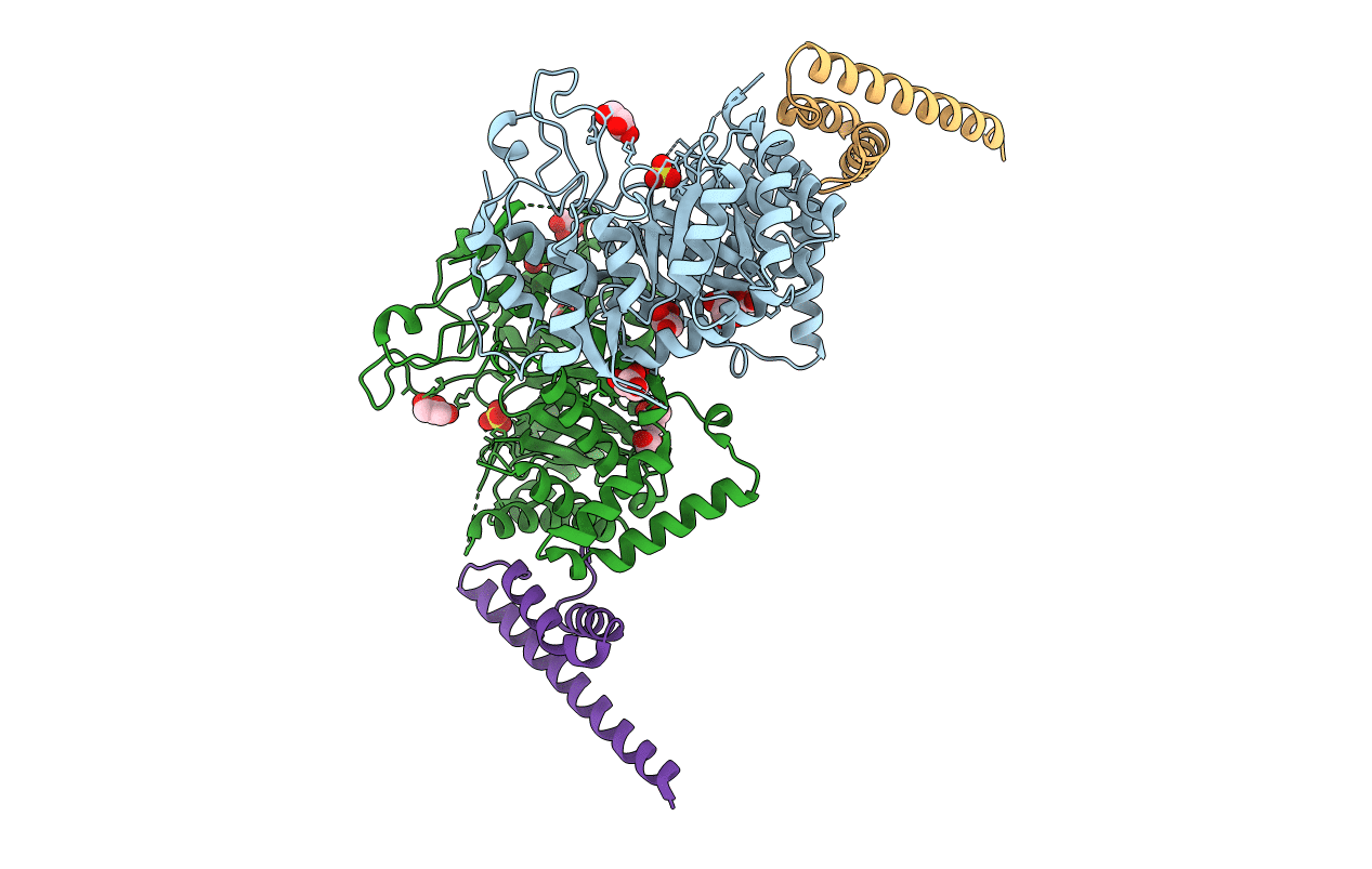 2W19 image