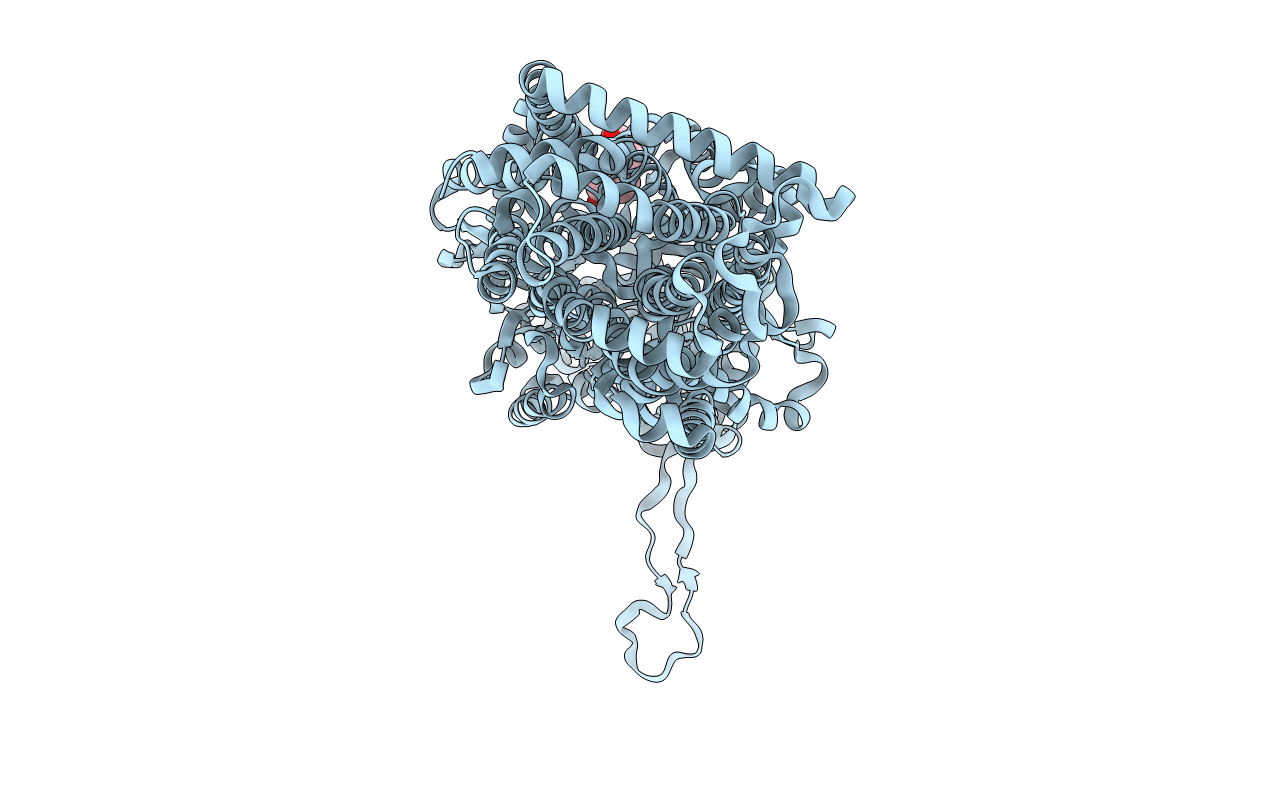2W1B image