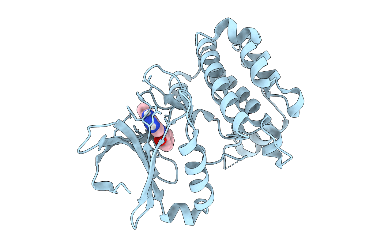 2W1F image